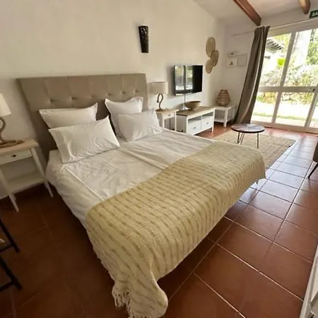 Banus Apartament *