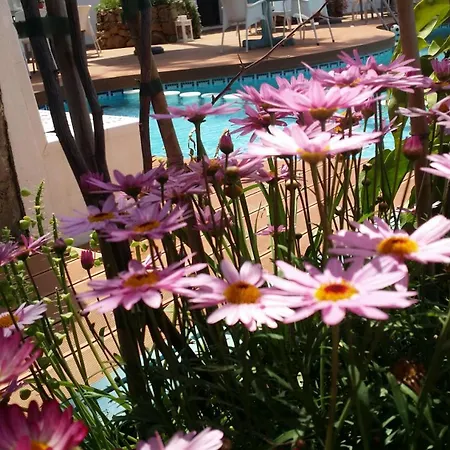 بانوس ماربيا