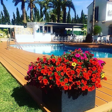 Banus