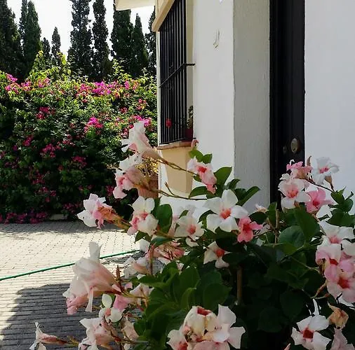 Banus Apartament *