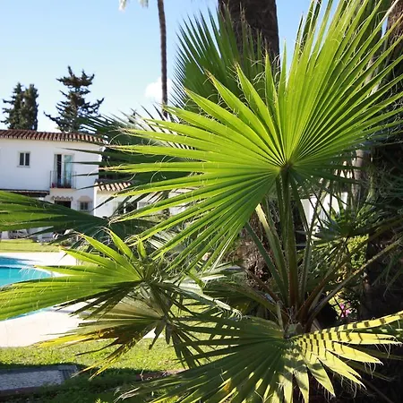 Banus Marbella