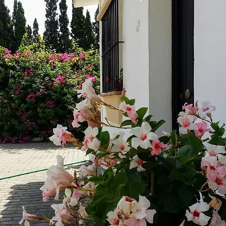 Banus Apartment *