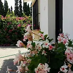 Banus Apartamento *