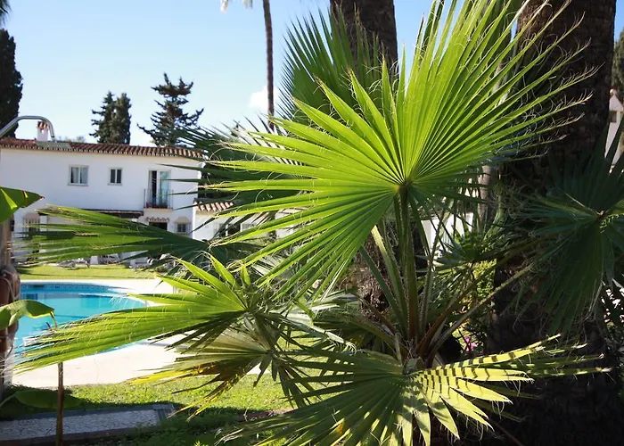 Banus Marbella