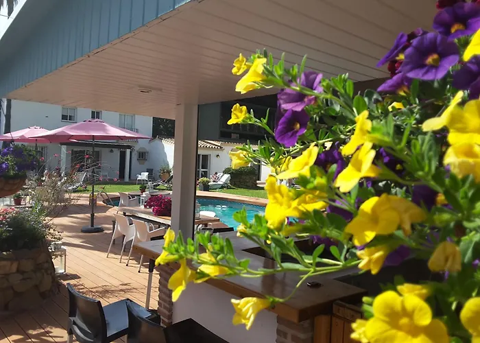 Lejlighed Banus Marbella