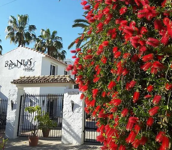 Banus Lejlighed Marbella